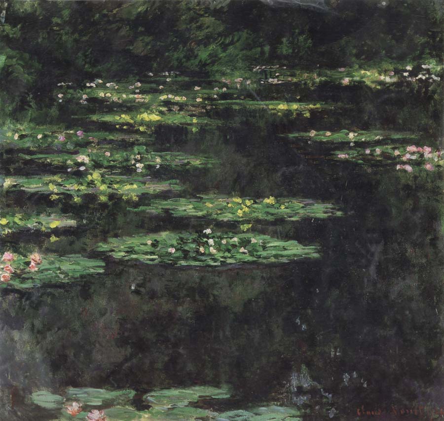 Water-Lilies